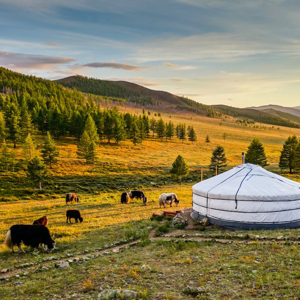 Sunset-over-Mongolian-valley-1200x853